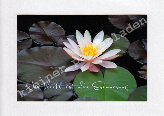 Fotoklappkarte Motiv Seerose