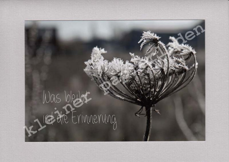 Fotoklappkarte Motiv Gefrorene Blüte