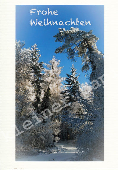 Fotoklappkarte Motiv Verschneiter Wald